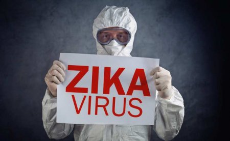 ВОЗ: Случаи передачи вируса Зика зафиксированы в 61 стране