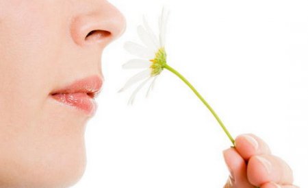Ученые разработали электронный нос, позволяющий обнаружить пестициды