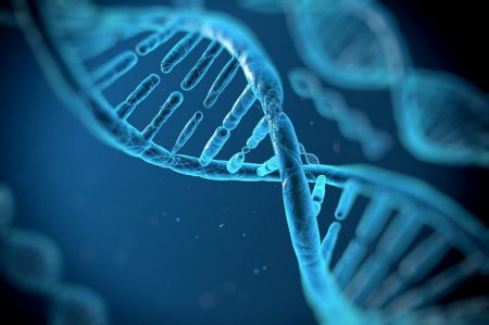 В США начнут проводить опыты по генетической модификации человека