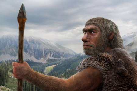 Ученые раскрыли новые факты о Homo erectus
