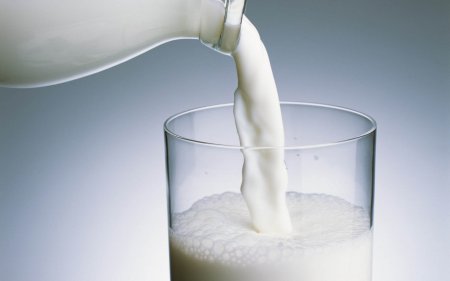 В России разработали экспресс-тест на наличие медикаментов в молоке