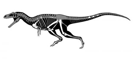 Уникальные останки динозавра были найдены экспедицией палеонтологов в Южной Америке