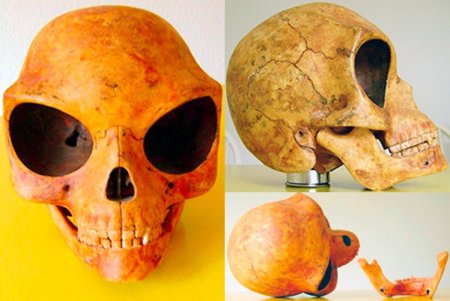 В Дании откопали череп инопланетного создания