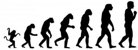 Эволюция человека ещё продолжается – учёные