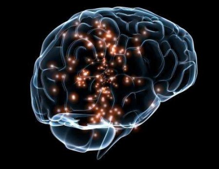 Нейрохирурги нашли области мозга, отвечающие за чтение слов