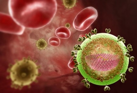 Ученые: Антитела по-прежнему эффективны в лечении ВИЧ