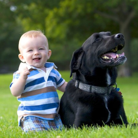 Учёные: Собаки защищают детей от респираторных заболеваний