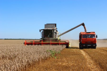 «Рекордный за 30 лет урожай озимых зерновых собран в Адыгее» Сельское хозяйство
