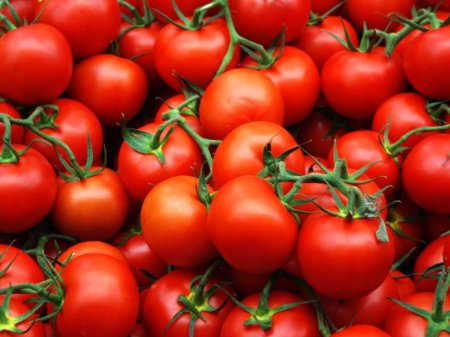 Ученые рассказали, чем полезны помидоры
