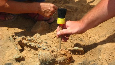 На юге США раскопали артефакты возрастом 5 тысяч лет