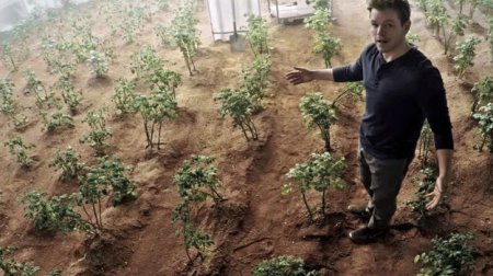 Голландские ученые смогли вырастить картофель на грунте, аналогичному марсианскому