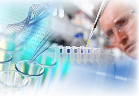 Новые виды биоаналитических услуг помогут ученым идентифицировать новые лекарства