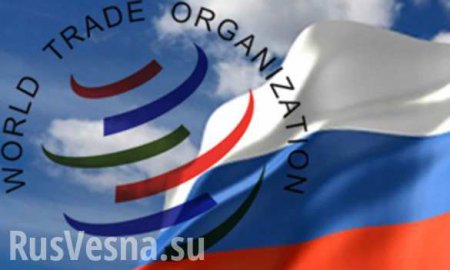 ВТО впервые приняла решение против России