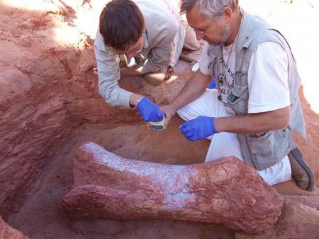 Ученые уверены, что нашли на Шпицбергене кости неизвестного морского динозавра