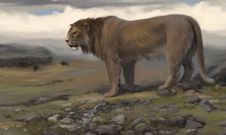 Ученые клонируют пещерных львов, вымерших вместе с мамонтами