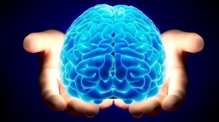Ученые доказали влияние мозговых тренировок на улучшение кратковременной памяти