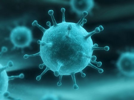 Ученые из США создали вирус-убийцу