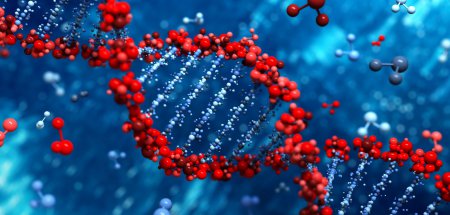 В скором времени станет возможным восстановление облика по ДНК