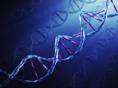 Ученые нашли способ лечить рак печение с помощью перепрограммирования ДНК