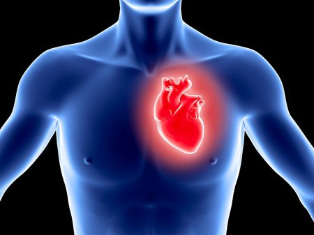 Ученые: Диастолическое давление в артериях связано с поражениями сердца
