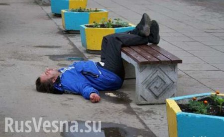 Украина пьет и травится