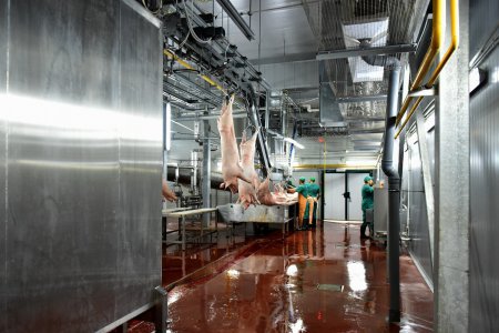 «В Белгородской области открыли мясоперерабатывающий завод» Новые и модернизированные предприятия агропрома