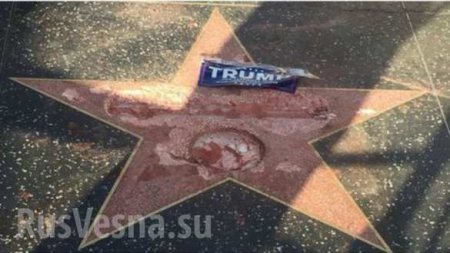 Звезду Трампа на Аллее Славы в Голливуде разбили кувалдой (ФОТО)