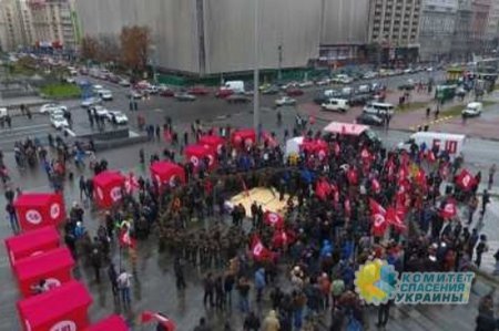 «Майдан чести» разогнали дубинками: власть жестоко подавляет протесты скакунов под флагами ЕС