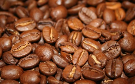 Содержащиеся в кофе антиоксиданты в 500 раз превосходят витамин С