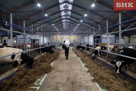 «Роботизированная молочная ферма введена в эксплуатацию в Коми» Новые и модернизированные предприятия агропрома