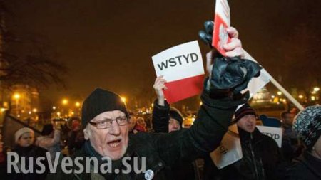 Оппозиция готова к силовому захвату власти, — польское издание