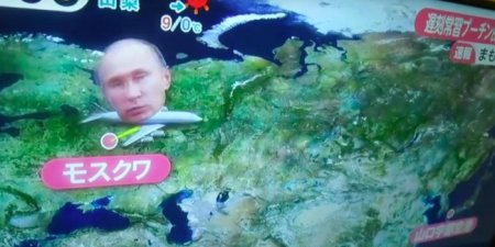 Русский блогер из Японии снял видео о реакции на приезд Путина