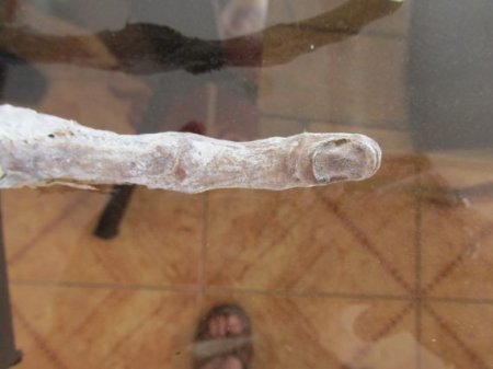 В Перу в пещере обнаружена загадочная рука с тремя пальцами