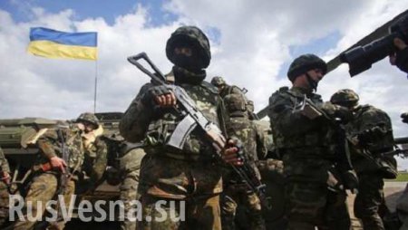 Мародеры-«ВСУшники» открыли огонь по украинским «копам»