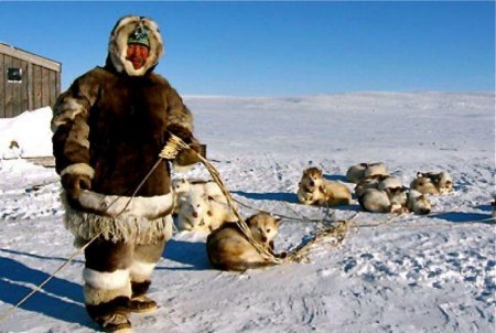 Канадские военные изучают странный шум в Арктике