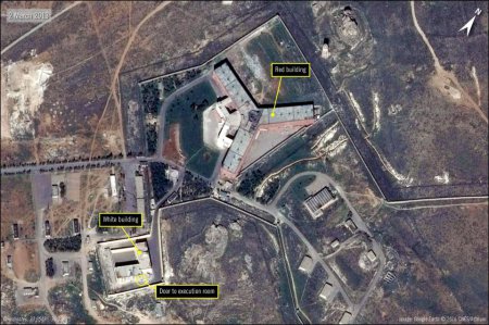 Конвейер лжи: как Amnesty International, Guardian и BBC считали «запытанных в тайной тюрьме Асада» (ФОТО, ВИДЕО)