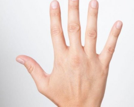 Учёные: По длине всего двух пальцев руки можно многое узнать о человеке