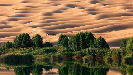Ученые: В прошлом Сахара была оазисом