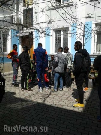 Камерунские футболисты попытались спрятаться в Крыму (ФОТО)