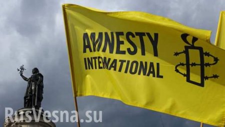 Зрада: Amnesty International на Украине требует отмены закона о декоммунизации