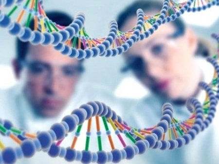 Ученым впервые удалось снять на видео процесс удвоения ДНК