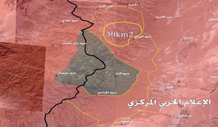 Правительственные войска Сирии и Ливана изгоняют боевиков ИГ из Западного Каламуна
