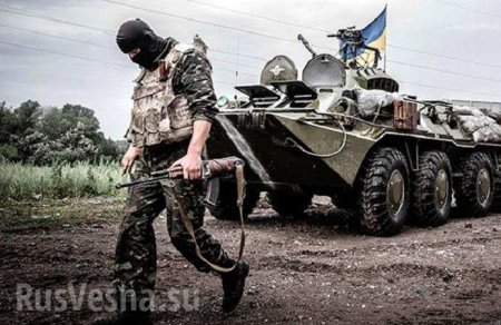Скандал: Украинским военным выделили землю на свалке (ФОТО)