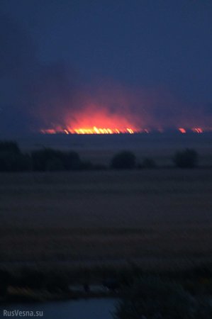 В Одесской области горит национальный парк (ФОТО)