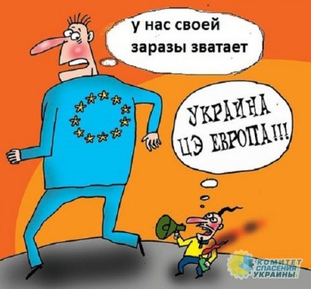 Олейник: «Европейская перспектива» Украины Венгрией обозначена четче некуда