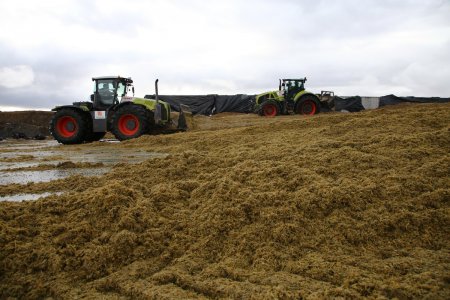 «Сахалин возобновил производство зерновых» Сельское хозяйство