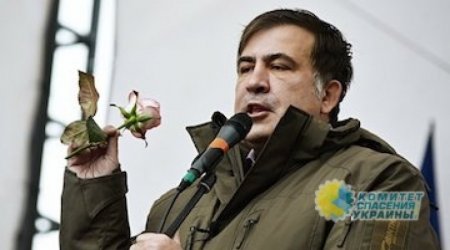 В Украине готовят спецоперацию по депортации Саакашвили из страны