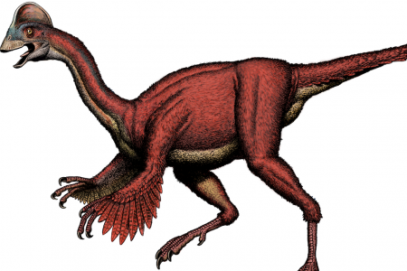 В Монголии ученые раскопали останки пернатого динозавра