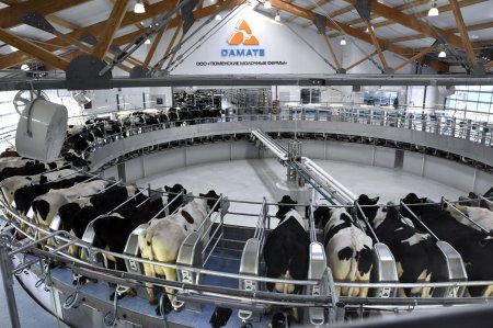 Молочный комплекс на 4600 голов открылся в Тюменской области Новые и модернизированные предприятия агропрома