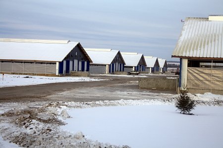 Молочный комплекс на 4600 голов открылся в Тюменской области Новые и модернизированные предприятия агропрома